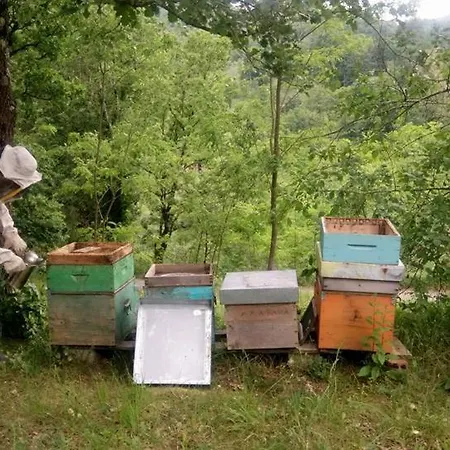 特拉希亚农家乐 *