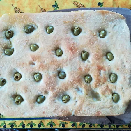 住宿加早餐酒店 特拉希亚农家乐 瓦雷塞利古雷