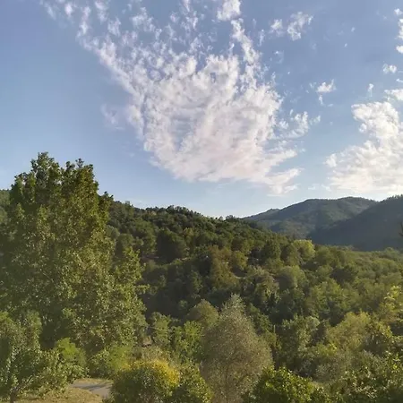 特拉希亚农家乐 *