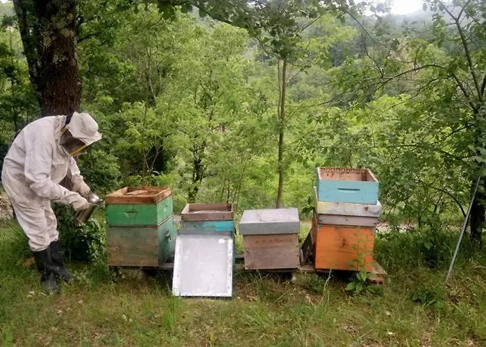 Agriturismo A Trasea *