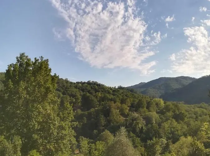 Agriturismo A Trasea *